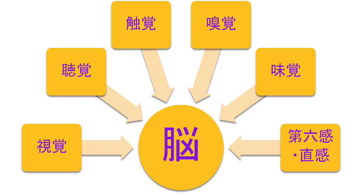 視覚・聴覚・触覚などの感覚入力が脳へ集まり、一つの体験として統合される感覚共振の図